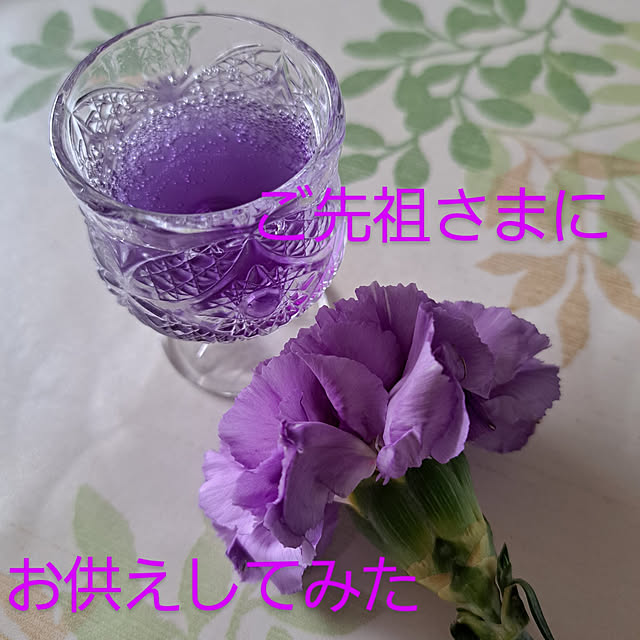 バス/トイレ/一人暮らし/お返事遅くなりがちです。/観葉植物のある暮らし/癒し...などのインテリア実例 - 2022-08-16 11:42:21