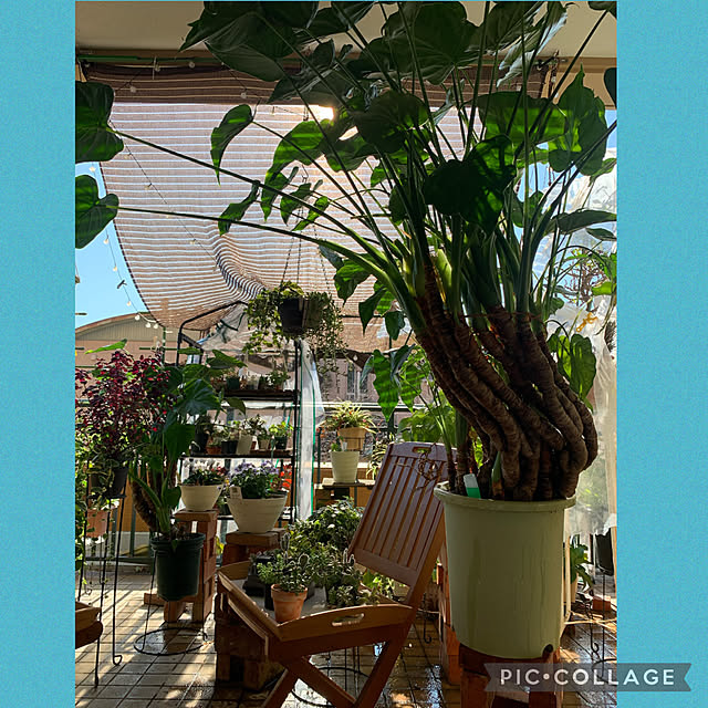 Aqettyさんの実例写真