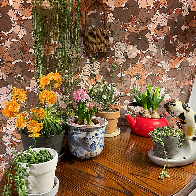 shin0719さんの実例写真