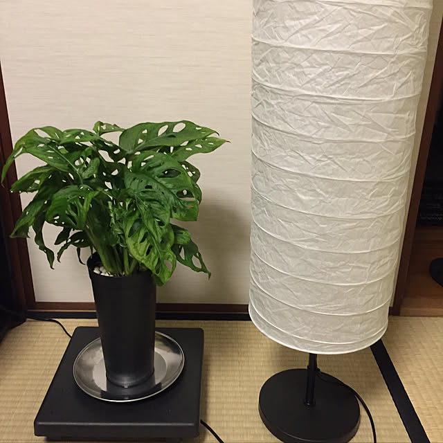 yoshiさんの実例写真