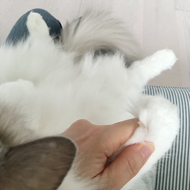 yuchiさんの実例写真