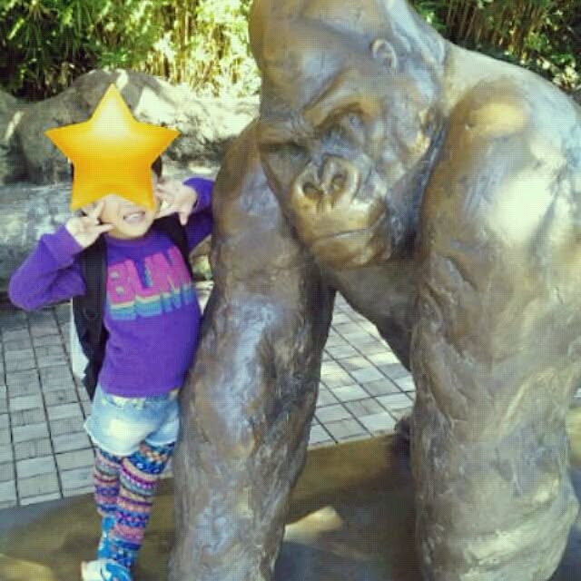 mippyさんの実例写真