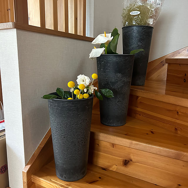botanさんの部屋