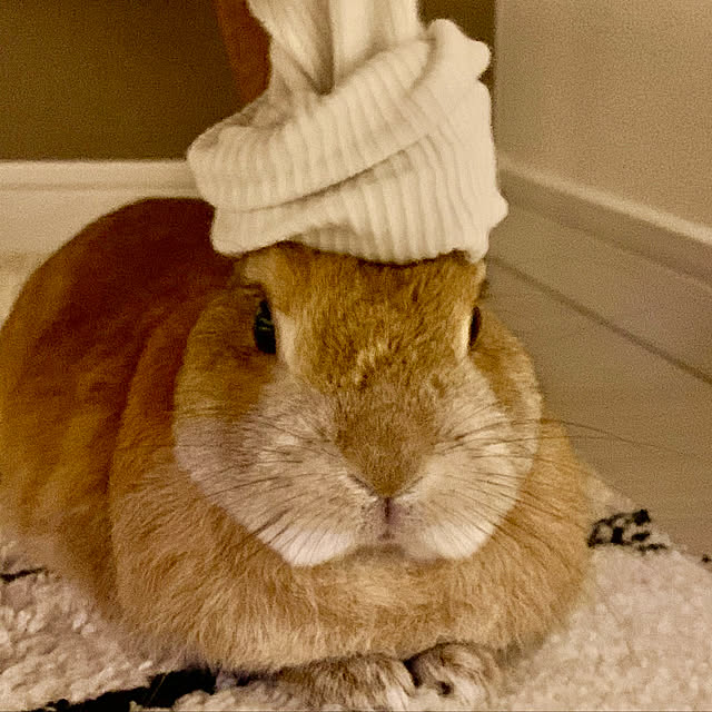 takeさんの実例写真