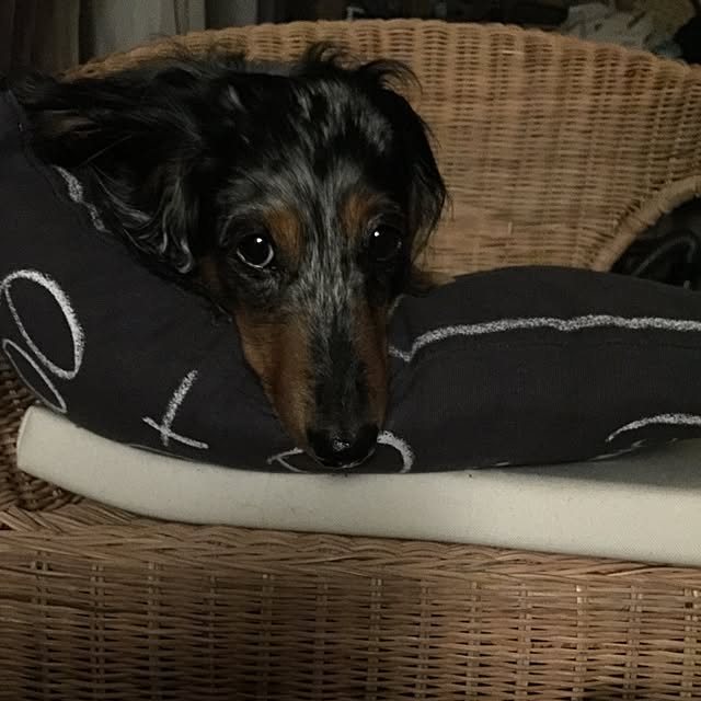 nonpiiiさんの実例写真