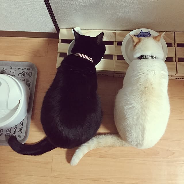 toufuさんの実例写真