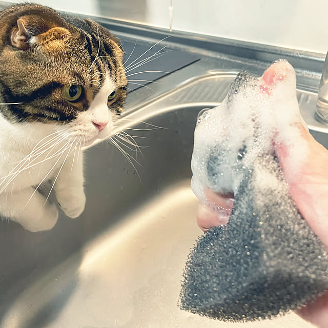 tansukeさんの実例写真
