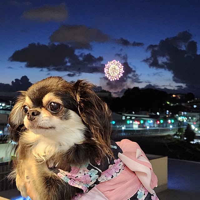 yumegu8さんの部屋