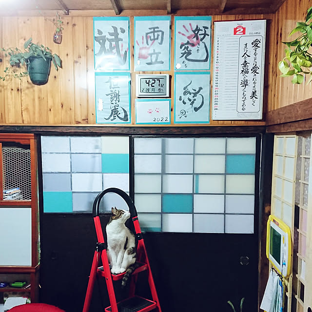 kikuさんの実例写真