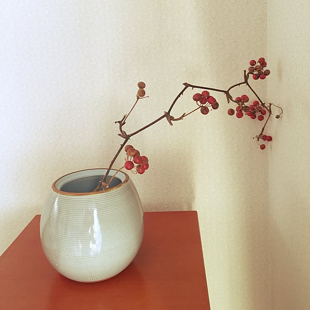 taro-taro-taroさんの実例写真