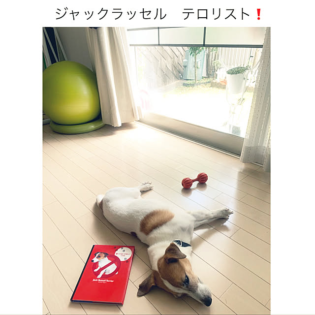 kittyさんの実例写真