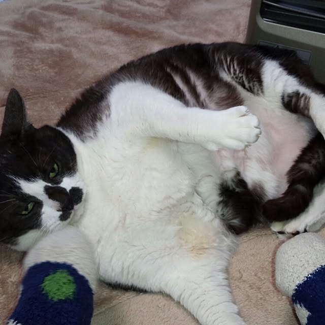実例写真