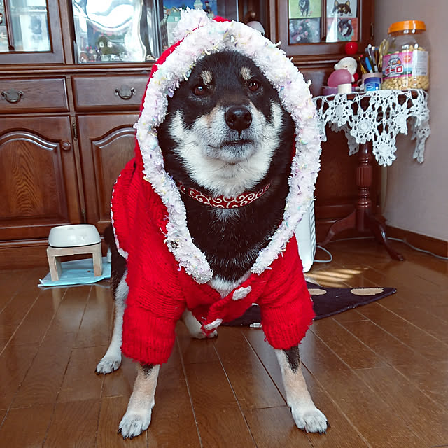 tsutawarimasuさんの実例写真