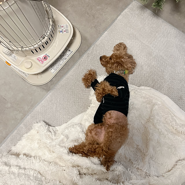 cocoaさんの部屋