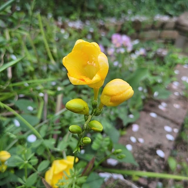 Rさんの実例写真