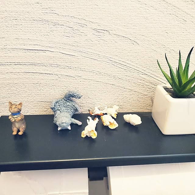sunnyさんの部屋