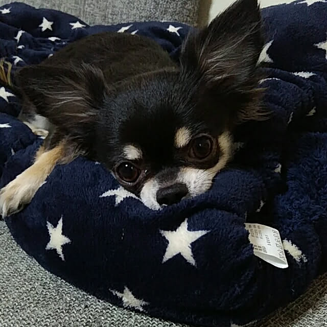 painさんの実例写真