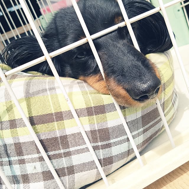 tomopiさんの部屋