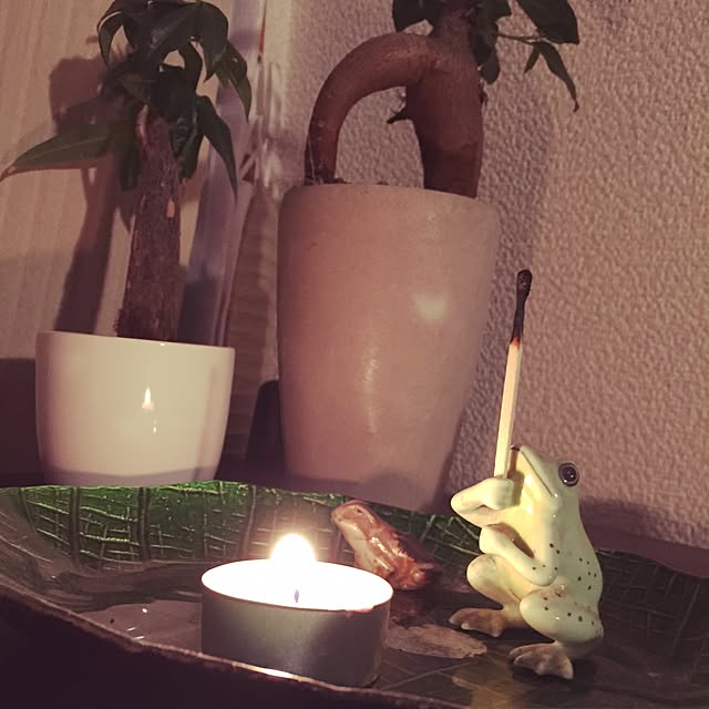 kouさんの実例写真