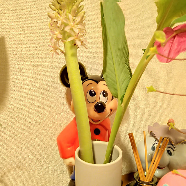 ramuneさんの実例写真