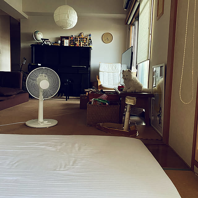 cottoncottonさんの実例写真