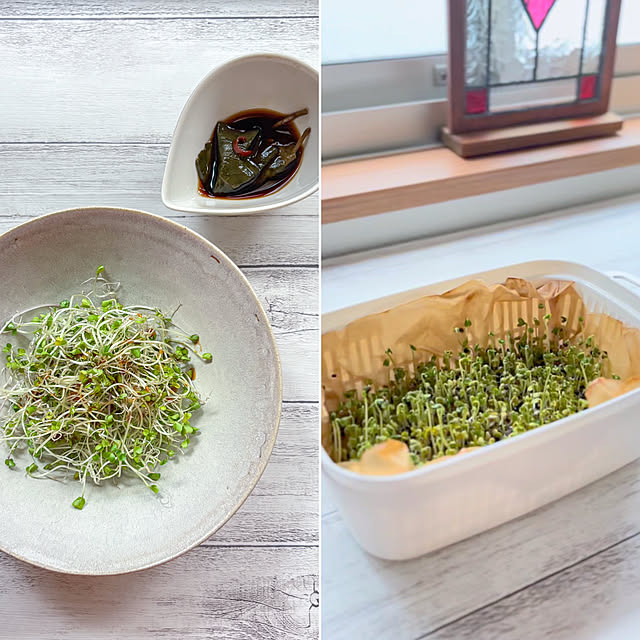 fawnさんの実例写真