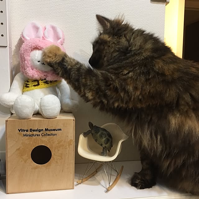 mikomaruさんの実例写真