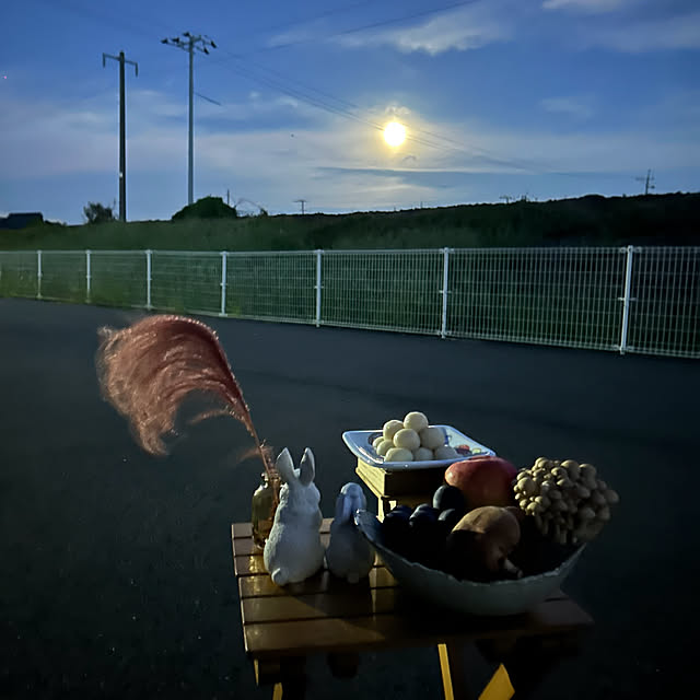 ritsukoさんの実例写真