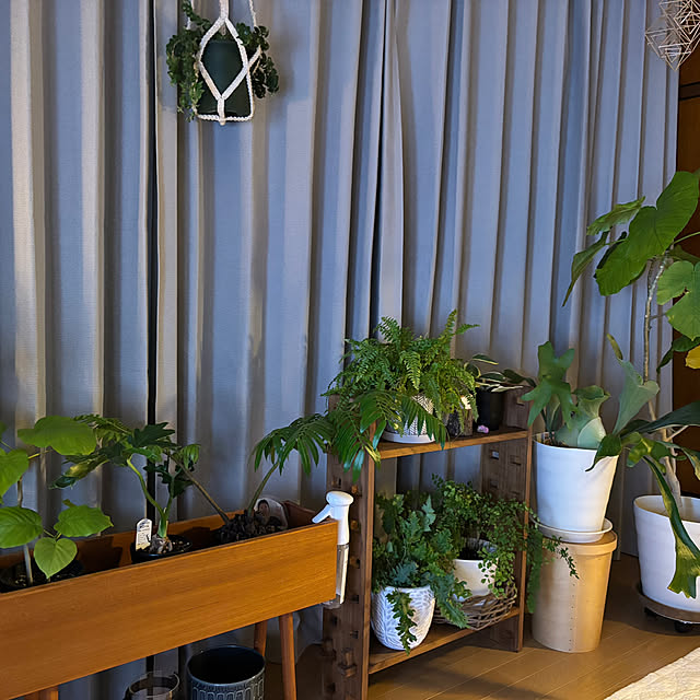 hngbo015さんの部屋