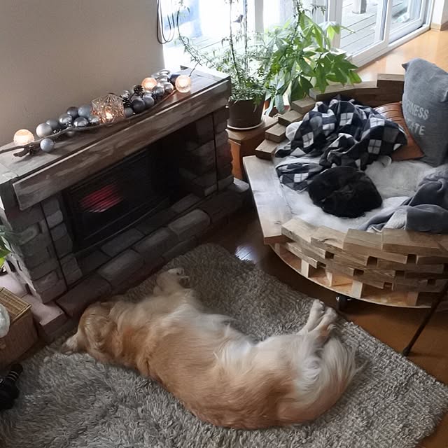 tomowithdogさんの実例写真