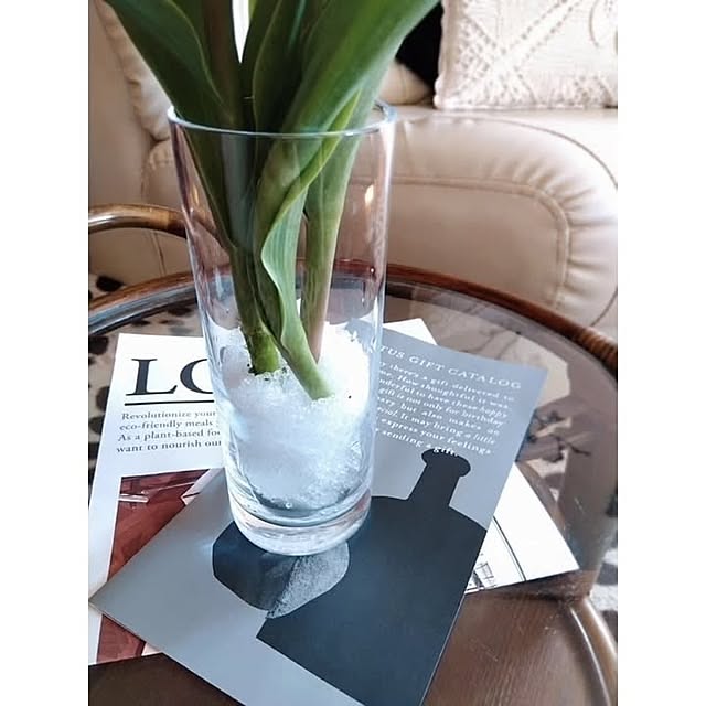 bonitoさんの部屋