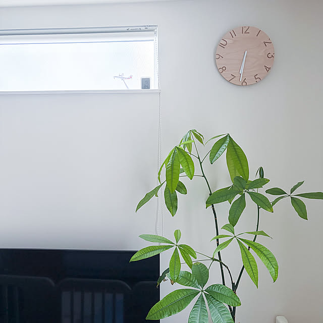 annさんの実例写真