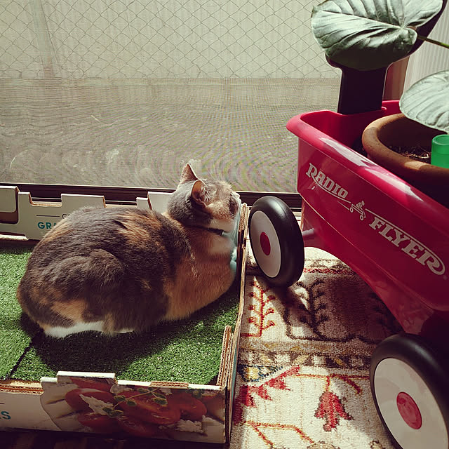 fukuさんの実例写真