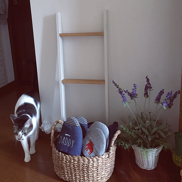 miiko3さんの実例写真