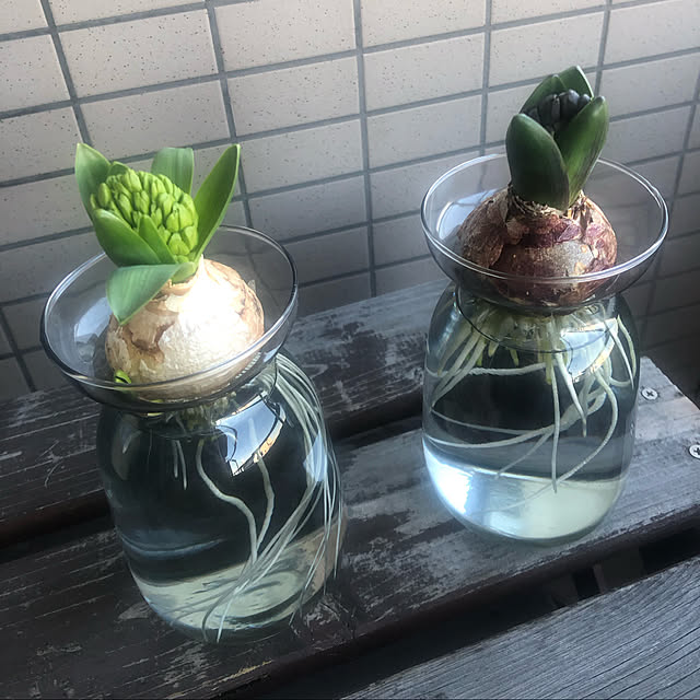 atominaさんの部屋