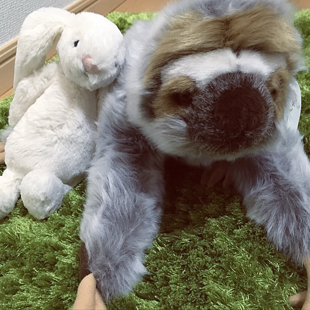 実例写真