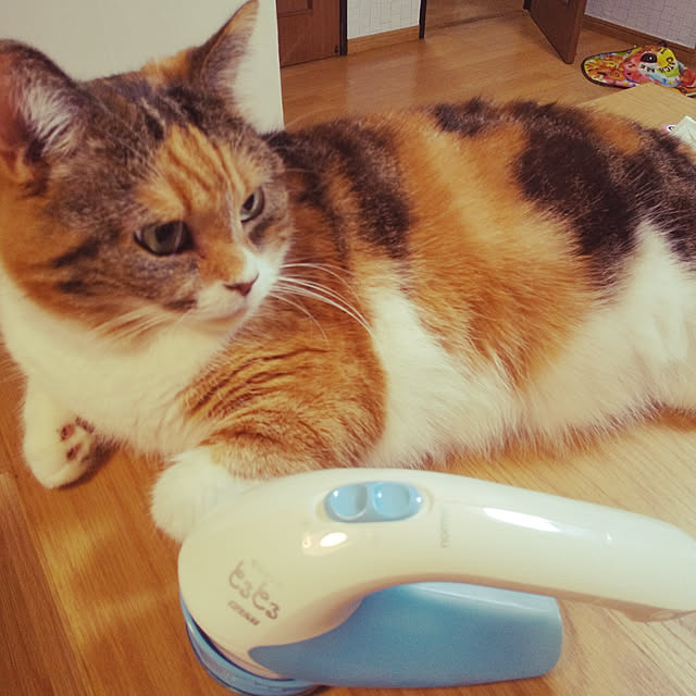 yukieさんの実例写真