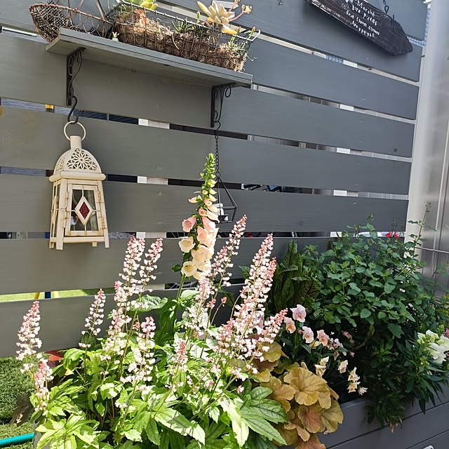 ayaさんの実例写真