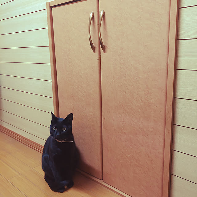 jijiさんの実例写真