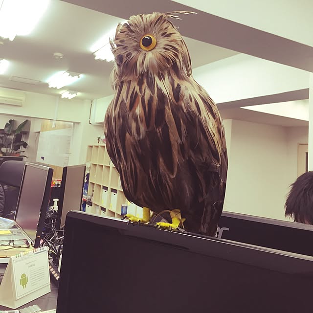 shiiiさんの実例写真