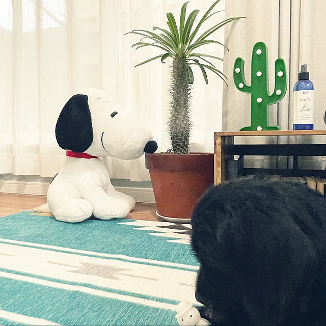 marinkoさんの実例写真