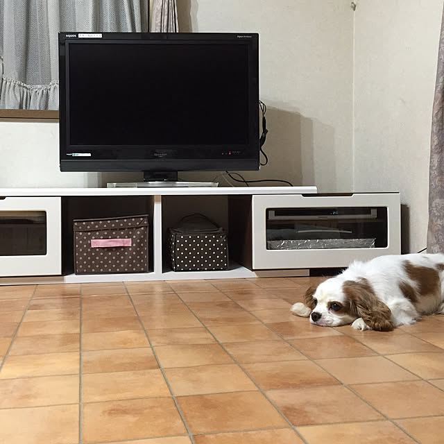 DianaYoghurtさんの実例写真