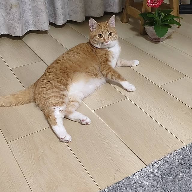 minnieさんの部屋