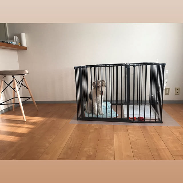 seriさんの実例写真