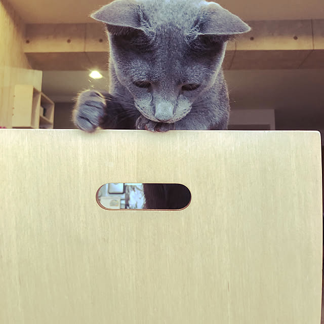 niko-25さんの実例写真