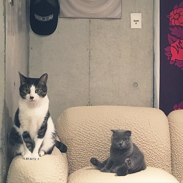 maruhakuchiさんの実例写真
