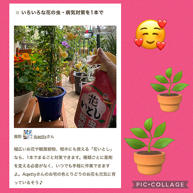 Aqettyさんの部屋