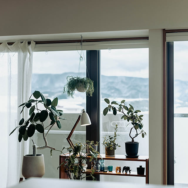 hinatabirdさんの実例写真