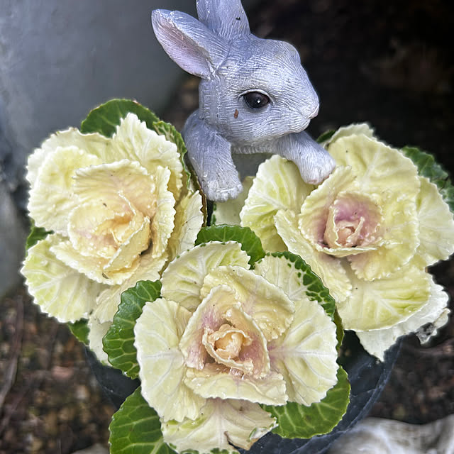 kakorinさんの実例写真