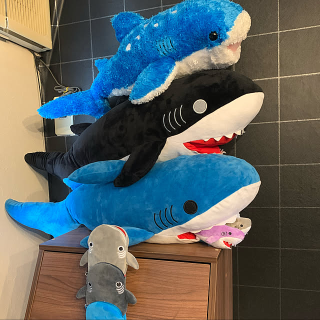 Hiroさんの実例写真